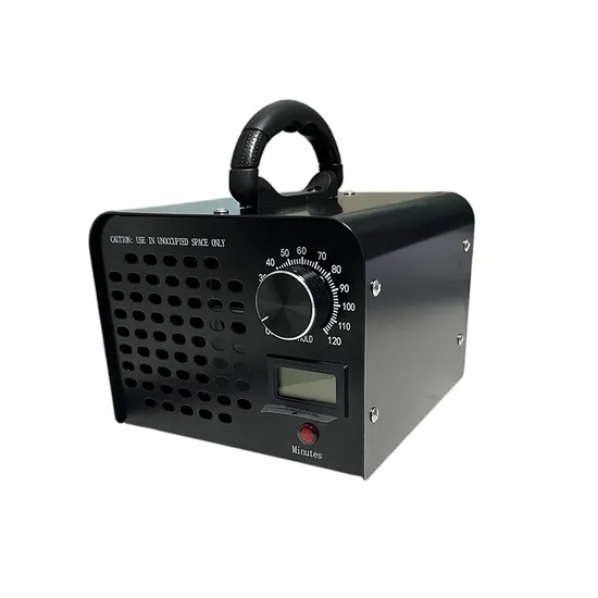 220V60g Professional Steel Ozonizer Air Detoxification Ozone Generator